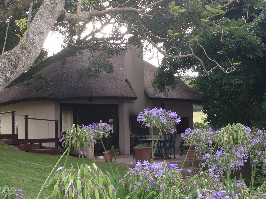 Waterryk Eco Guest Farm Daire Stilbaai Dış mekan fotoğraf